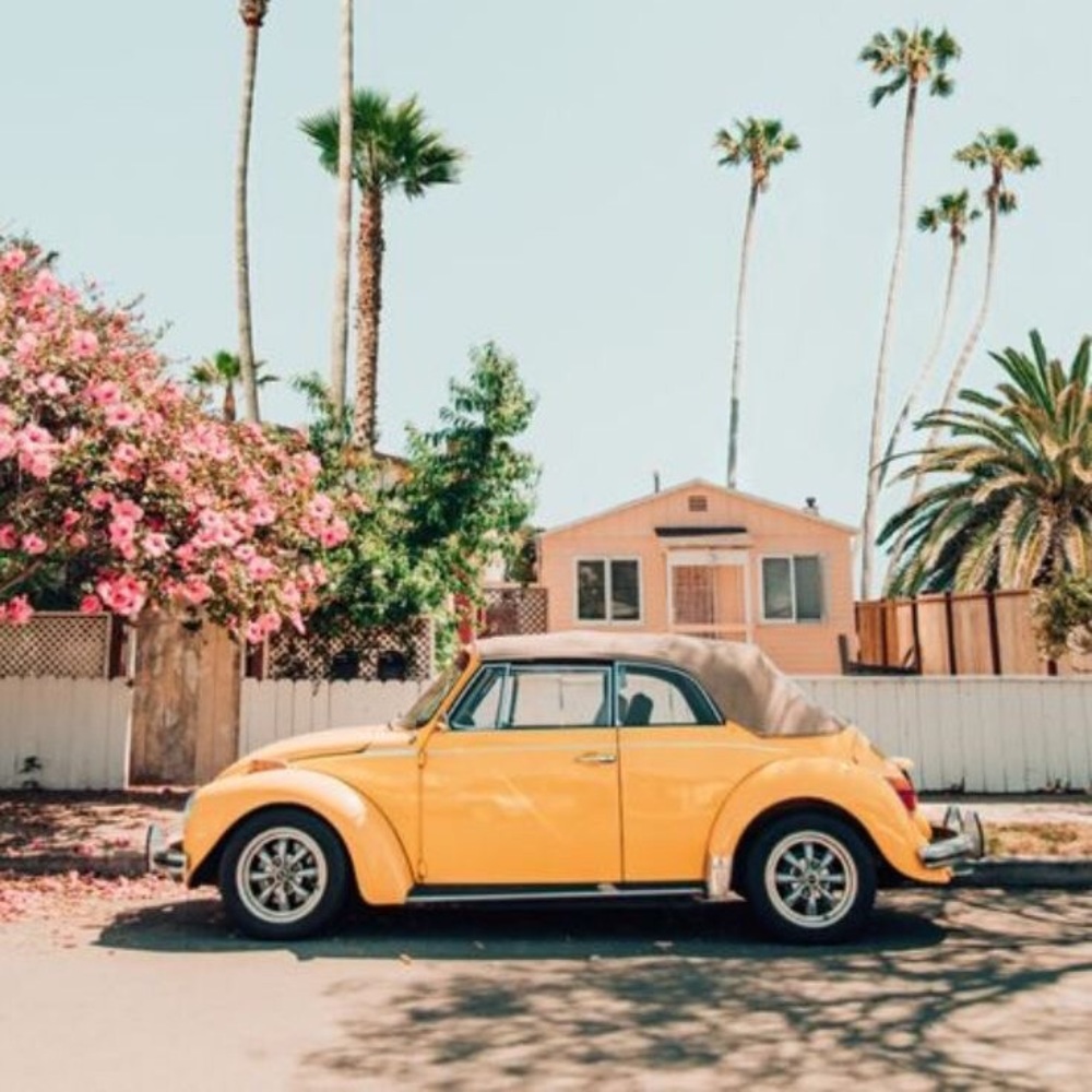 Meet your Posher, Tylah